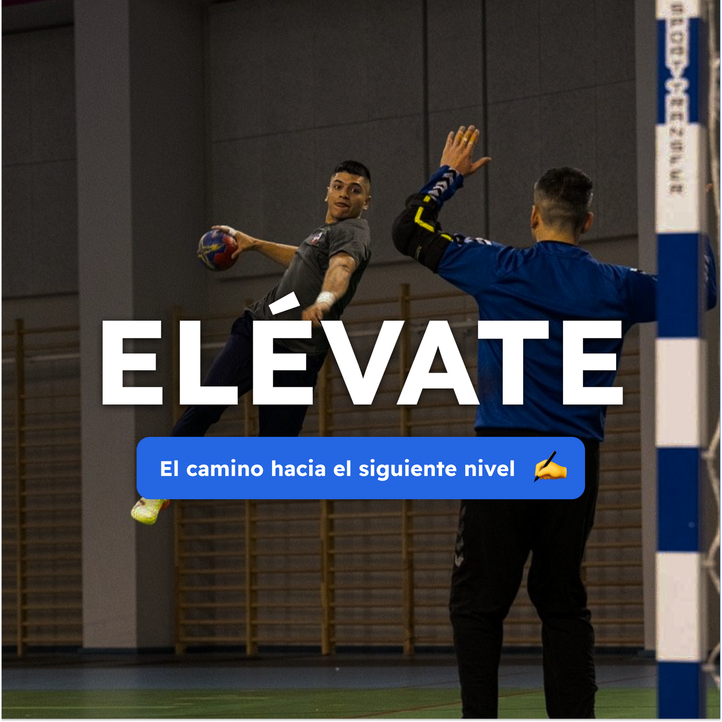 Programa anual ELÉVATE